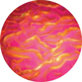 33103 Magenta Ripple - Rosco Standard Gobo ColorWaves