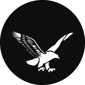 G377 American Eagle - Rosco GAM Standard Steel Gobo