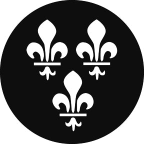 G729 Fleur de Lis - Rosco GAM Standard Steel Gobo