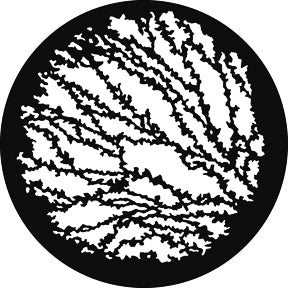 G769 Vines - Rosco GAM Standard Steel Gobo