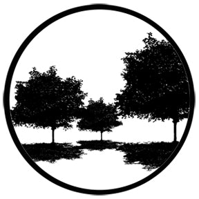 78435 Tree Silhouette 4 - Rosco Standard Steel Gobo