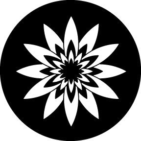 78590 Petal Explosion - Rosco Standard Steel Gobo
