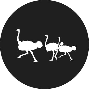 78690 Ostrich - Rosco Standard Steel Gobo
