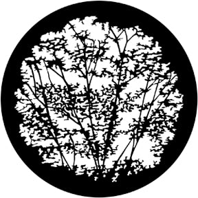 79106 Leafy Branches 1 - Rosco Standard Steel Gobo