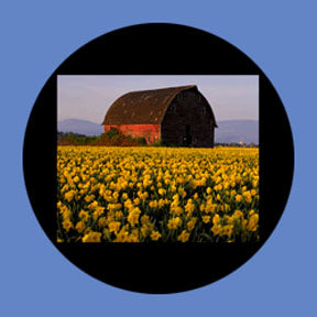 P863 Architectural 0863 - Rosco Plastic Gobo