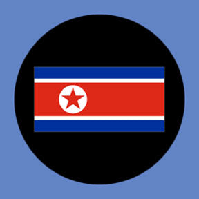P3162 North Korea - Rosco Plastic Gobo