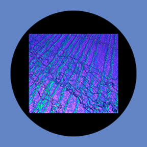P5854 Abstracts 5854 - Rosco Plastic Gobo