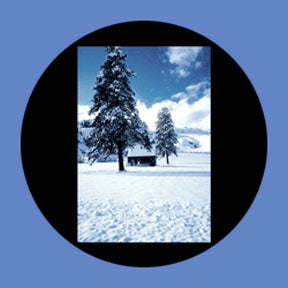 P6876 Trees & Foliage 6876 - Rosco Plastic Gobo