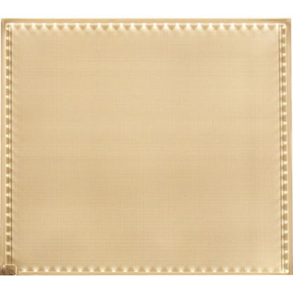 Rosco LitePad HO + Tungsten 6x12" Featherweight LED Panel