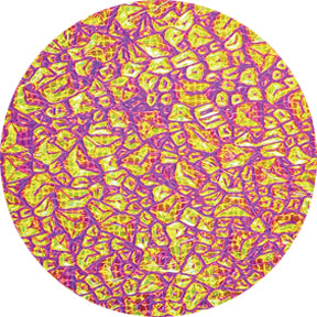 33403 Magenta Sparkelite - Rosco Effects Glass Gobo