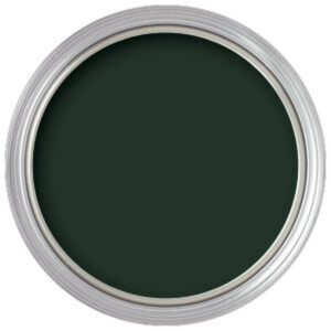 5374 Rosco Off Broadway Scenic Paint -Imperial Green