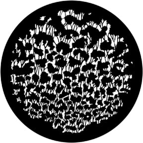 77446 Foliage (Distorted) - Rosco Standard Steel Gobo