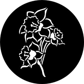 77669 Daffodil  Rosco Stainless Steel Gobo