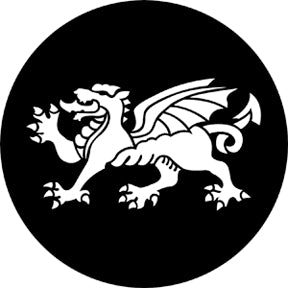 77671 Dragon -  Rosco Stainless Steel Gobo