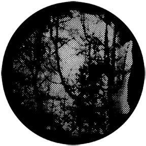 77840 Woodlands  Rosco Stainless Steel Gobo