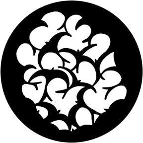 77909 Swallows  Rosco Stainless Steel Gobo
