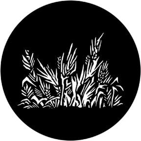 78039 Grasses  Rosco Stainless Steel Gobo