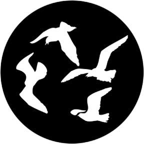 78096 Gulls - Rosco Standard Steel Gobo