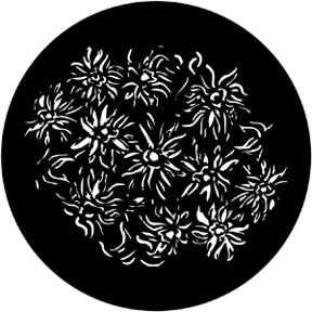 78178 Floral 6 - Rosco Standard Steel Gobo