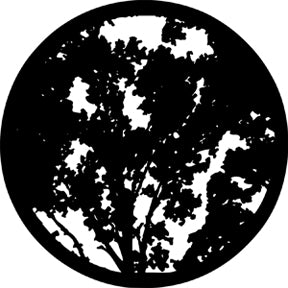 78218 Summer Branches  Rosco Stainless Steel Gobo
