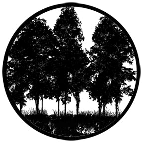 78432 Tree Silhouette 2 - Rosco Standard Steel Gobo