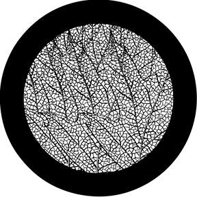 78597 Leaf Veins - Rosco Standard Steel Gobo
