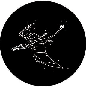 78627 Dino Bird  Rosco Stainless Steel Gobo