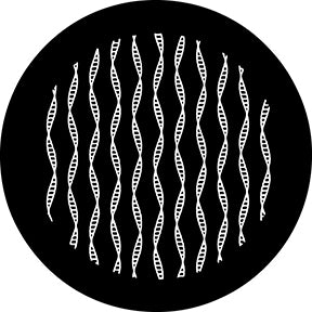 78678 Helices - Rosco Standard Steel Gobo