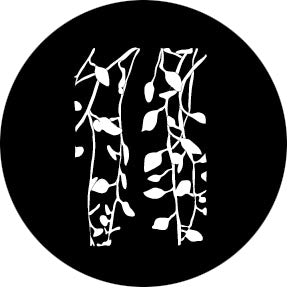 78688 Lady Slippers - Rosco Standard Steel Gobo