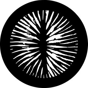 78708 Fissures  Rosco Stainless Steel Gobo