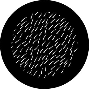 78713 Thorn Fir - Rosco Standard Steel Gobo