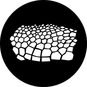 78716 Turtle Skin - Rosco Standard Steel Gobo