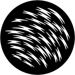 79071 Zeds A Leaping  Rosco Stainless Steel Gobo