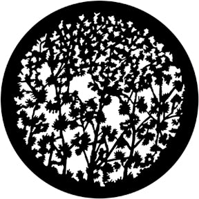 79108 Leafy Branches 3 - Rosco Standard Steel Gobo