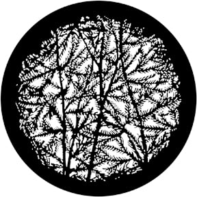 79110 Leafy Branches 4 - Rosco Standard Steel Gobo