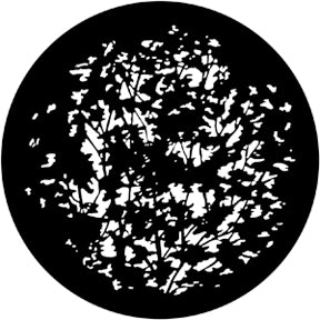 79114 Dense Leaves 2  Rosco Stainless Steel Gobo