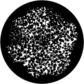 79117 Dense Leaves 3 - Rosco Standard Steel Gobo