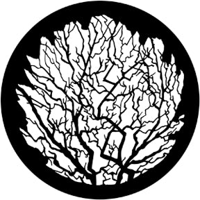 79119 Winter Tree 2 - Rosco Standard Steel Gobo