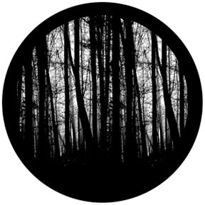 81175 Blair Woods - Rosco Colour Glass Gobo