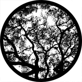 81177 Skyward - Rosco Colour Glass Gobo