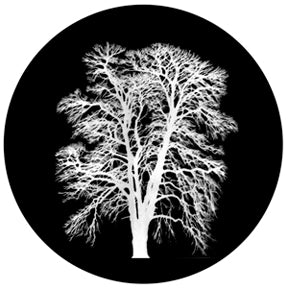 81179 Barren Inverted - Rosco Colour Glass Gobo