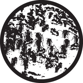 81190 Ants Abstracts - Rosco Colour Glass Gobo