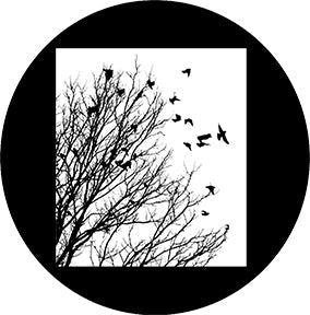 81191 Flight - Rosco Colour Glass Gobo