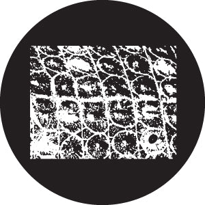 81195 Crocodile Breakup - Rosco Colour Glass Gobo