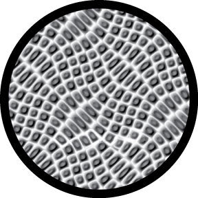 81206 Crocodile Close Up Breakup - Rosco Colour Glass Gobo