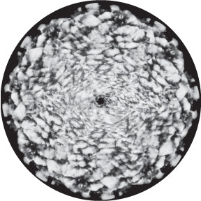 82836 Cloud Cover 2 Animation Wheel - Rosco Colour Glass Gobo