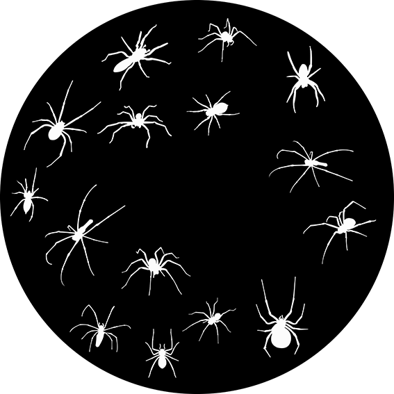82938 Crawling Spiders Rotating - Rosco Colour Glass Gobo