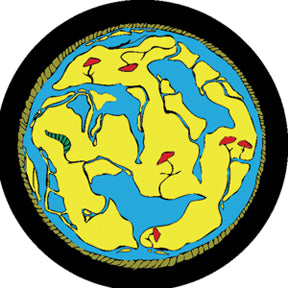86609 World Map - Rosco Colour Glass Gobo