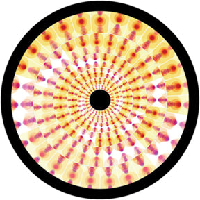 86645 Pressed Petals - Rosco Colour Glass Gobo
