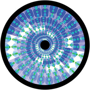 86646 Flared Petals - Rosco Colour Glass Gobo